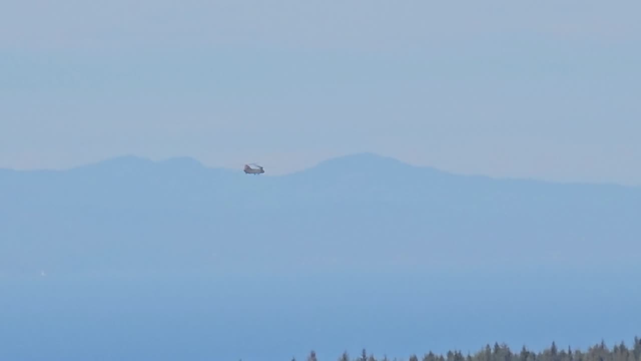Whirl a Bird & a View