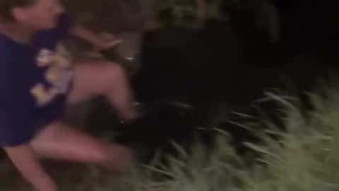 What the heck was that?