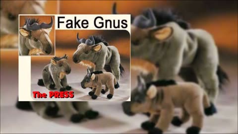 Purple Candy Haze * The Press * Fake Gnus