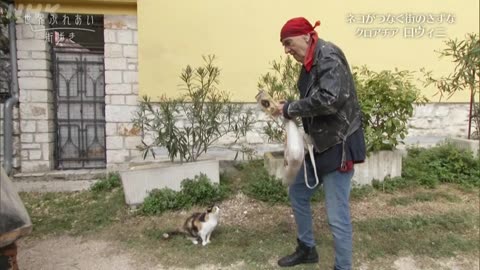 世界ふれあい街歩き アドリア海の港町 ロヴィニ～クロアチア～