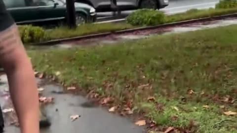 Psycho liberal screaming at CBP agents.