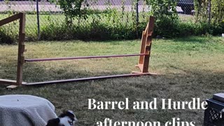 Circuit Training short one