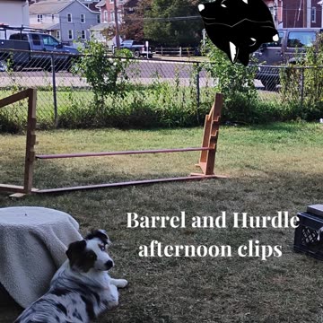 Circuit Training short one