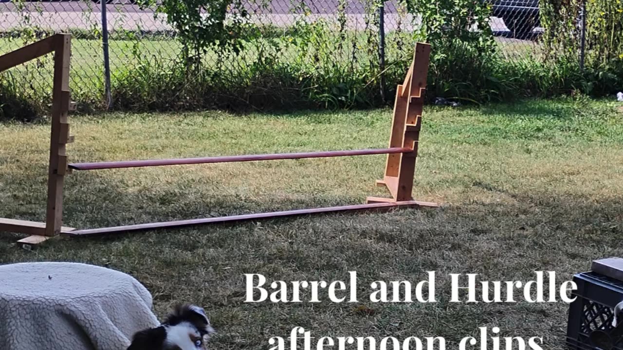 Circuit Training short one