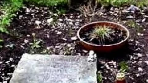 FAMOUS GRAVES - VOL. 494: ROB PILATUS