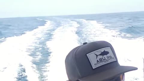 Rockfish, Salmon & More: Promar & Ahi USA Breakdown #734