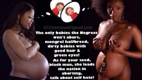 Black Lives Matter and Negro Shine Logic - David Carroll