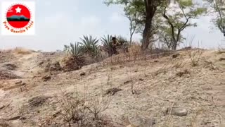 🔥🪖 Myanmar War | Popa Guerrilla Force Combat Clips June 27-July 2 | RCF