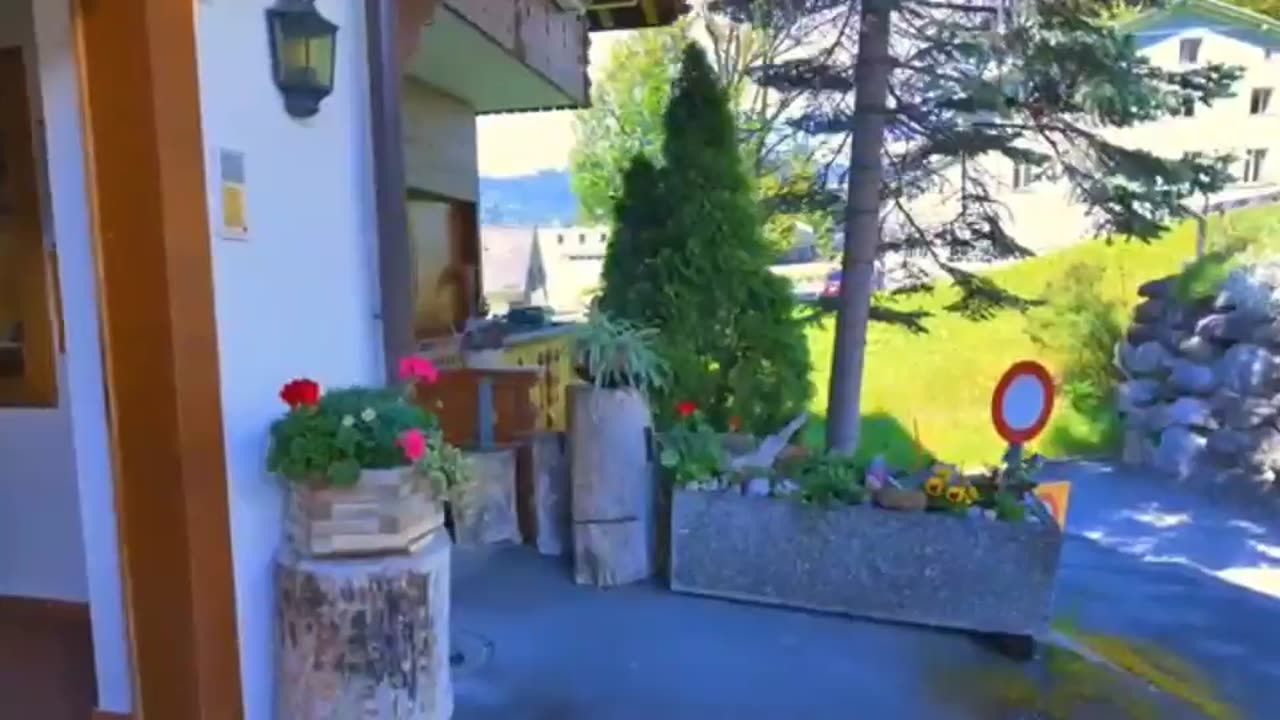 view refreshing very beautiful part 2