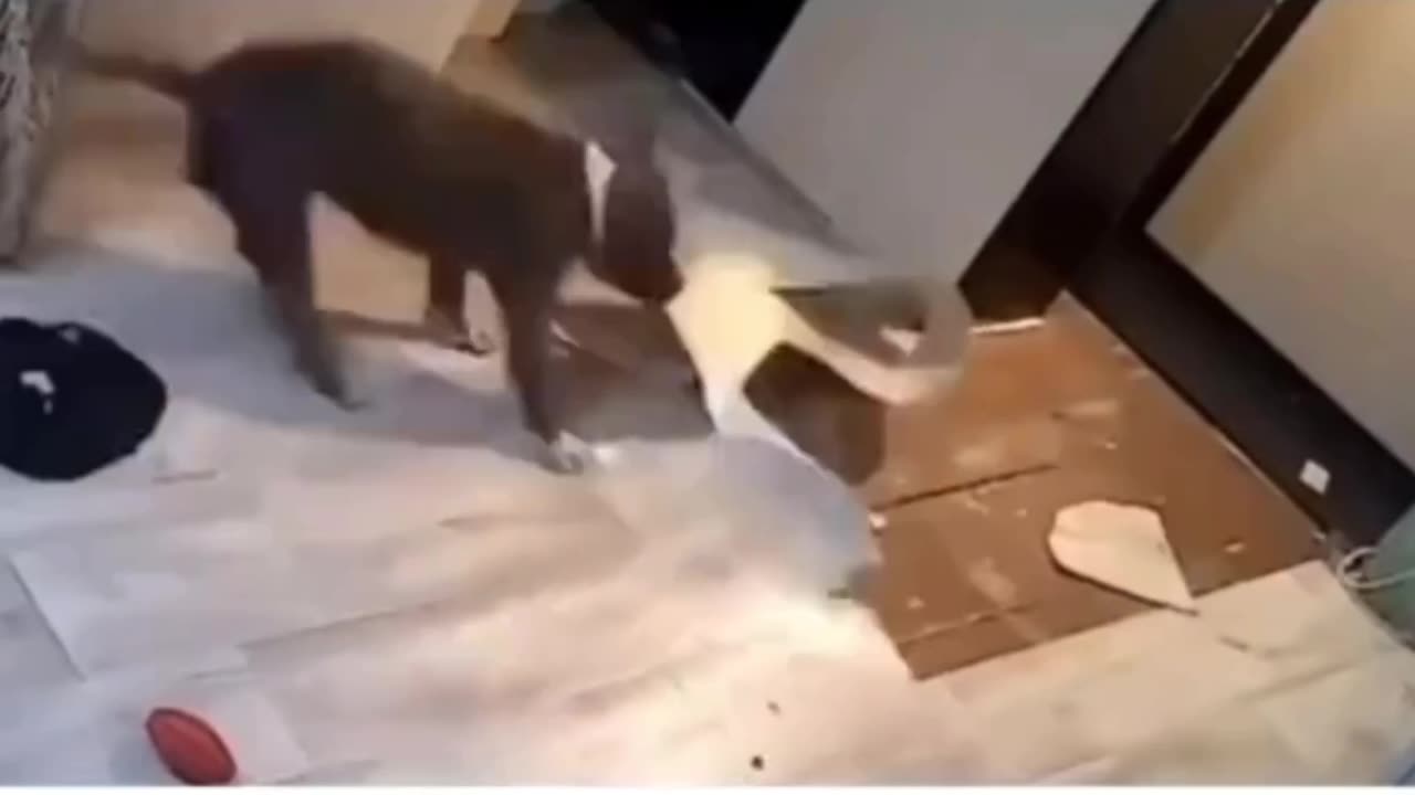 No one likes fake wood linoleum floors 😂