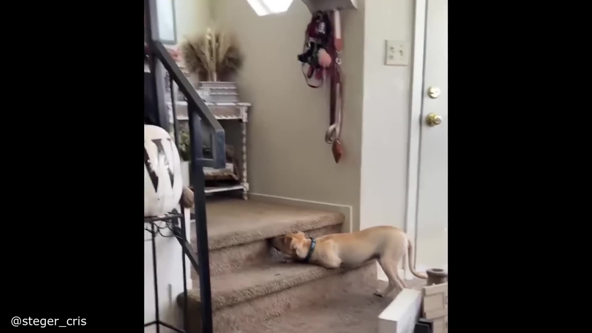 The Silence Was So Loud Meme Compilation Video