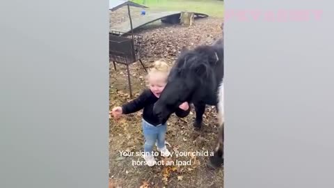🐶 Babies & Animals: The Cutest Friendships Ever! 💞