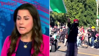 LA RIOTS - MSM Supercut
