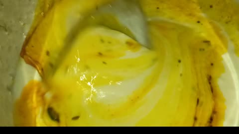 simple vegetarian recipe food