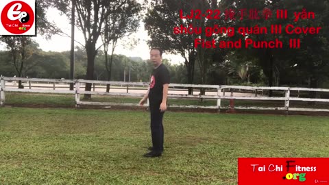 Aerobic Tai Chi Workout-024-Cover Fist and Punch III
