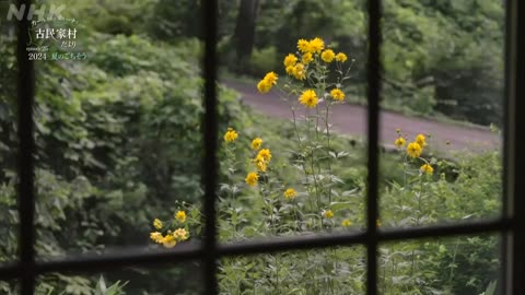 カールさんとティーナさんの古民家村だより episode.25 夏のごちそう