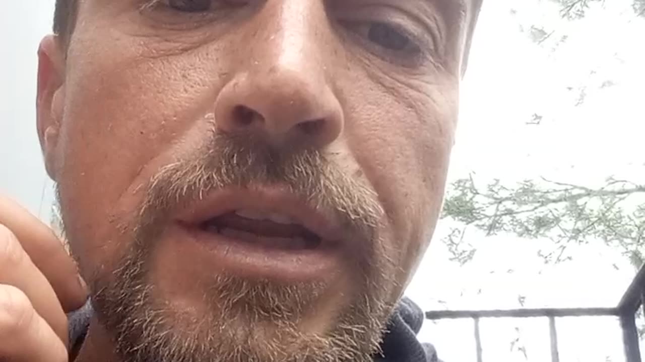 F1