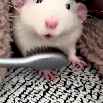 Weekend salon spa time