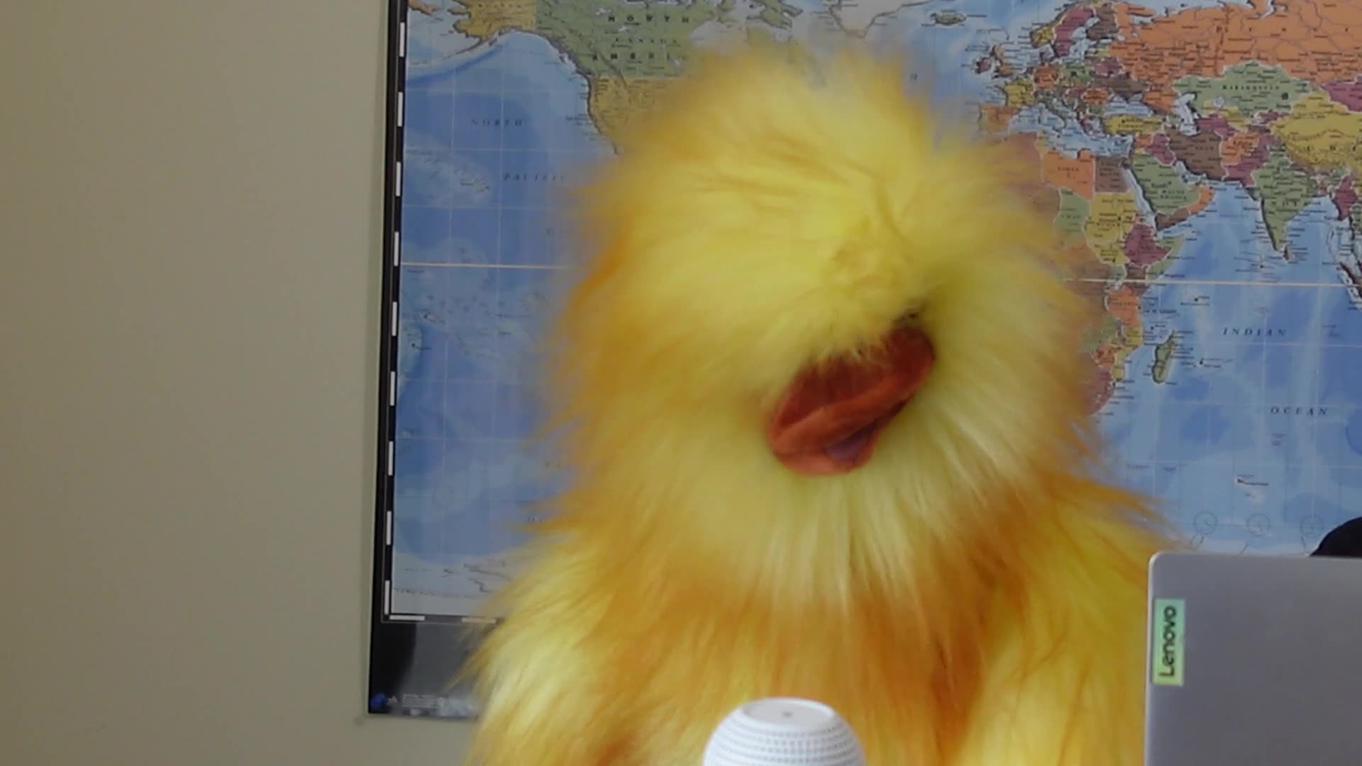 Canadian Election Shenanigans