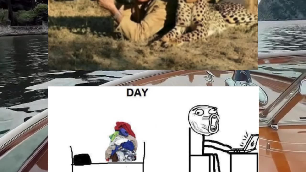 Memes of the day | funny memes | #funny