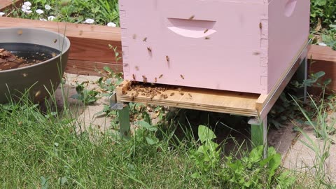 Hot Swapping hive parts.