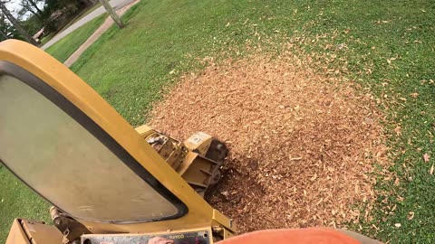 Today My Stump Grinding Jobs Didn’t Go as Planned!