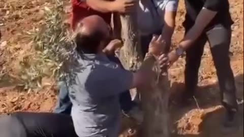 Planting the trees in Palestine 💯 💯 make green again