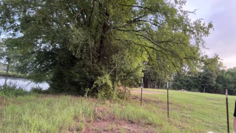 Morning prayer, Daily Office