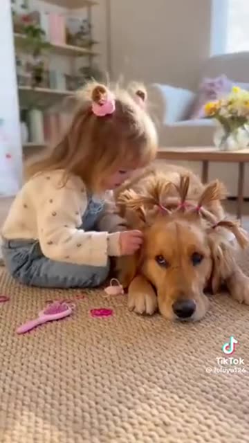 As a hairdresser 💇‍♀️ this is so precious! I think this is the only breed of dog