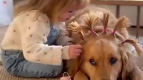 As a hairdresser 💇‍♀️ this is so precious! I think this is the only breed of dog