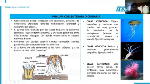 ANUAL ADUNI 2021 | Semana 23 | Biología | Psicología