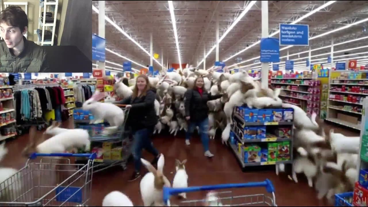 Over 30 Rabbits Roam Around A Walmart Supercenter Fake Funny Parody Video With Live Commentary