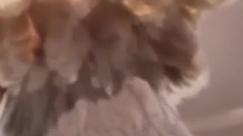 What It Feels Like to Face a Nuke