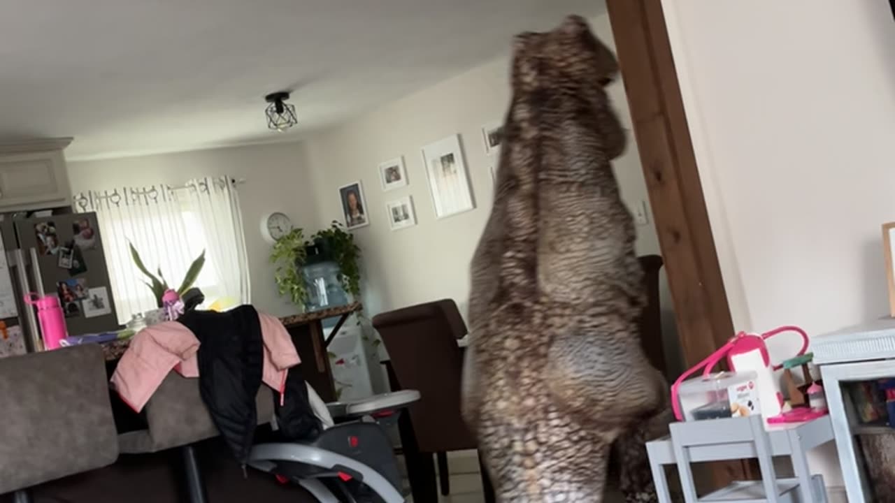 Dinosaur Costume Scares Three-Year-Old