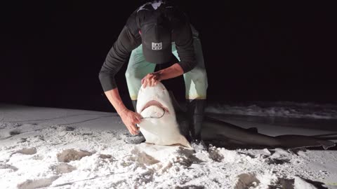 Famous Country Music Singer Goes Shark Fishing from the BEACH! (Giant at the End!)