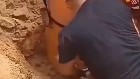 Humanity in the everyday life of a firefighter 👩‍🚒👩‍🚒