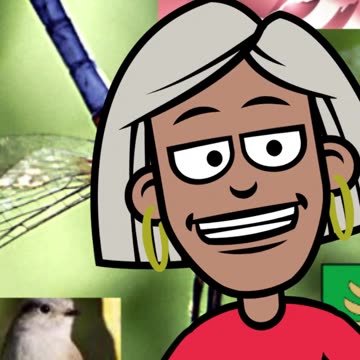 a-pinta-e-o-pinta-foi-na-feira.mp4