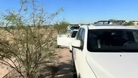 The Aftermath of an 🧊 and HSI Raid