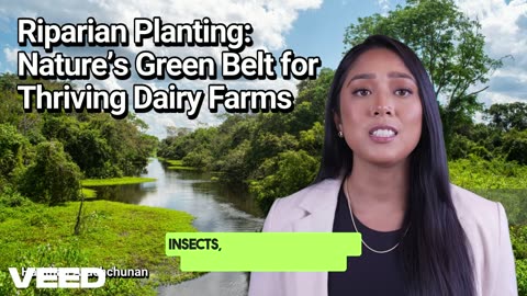 Riparian Planting:Nature's Green Belt for Thriving Dairy Farms