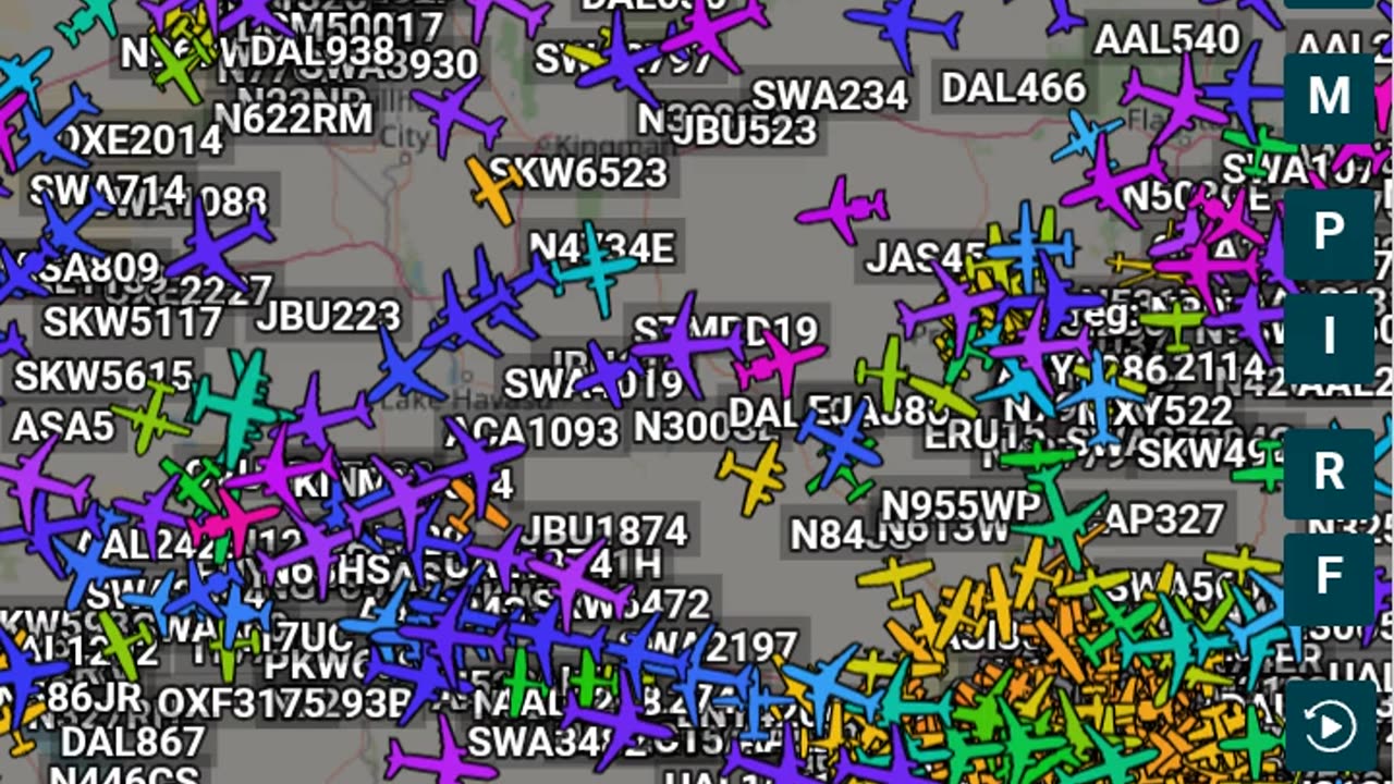 Another Bird Mafia slideshow vid - no audio - June 10th 2025 -