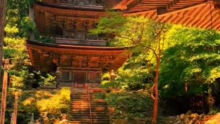 Buddhist Temple Metsu-ji, Japan.