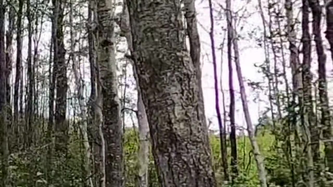 $50 Outhouse Makeover Removing Gender Signs for All!