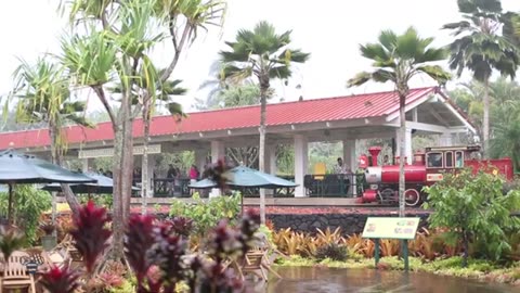 HAWAIIAN FOOD TOUR + Special Announcement! Honeysuckle