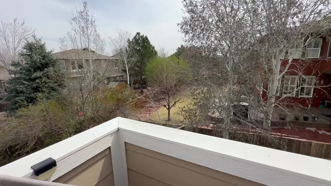 Good day outside