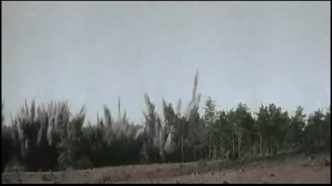 Der Ostfeldzug - Kampf im Osten 1942