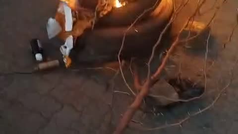 Protest
