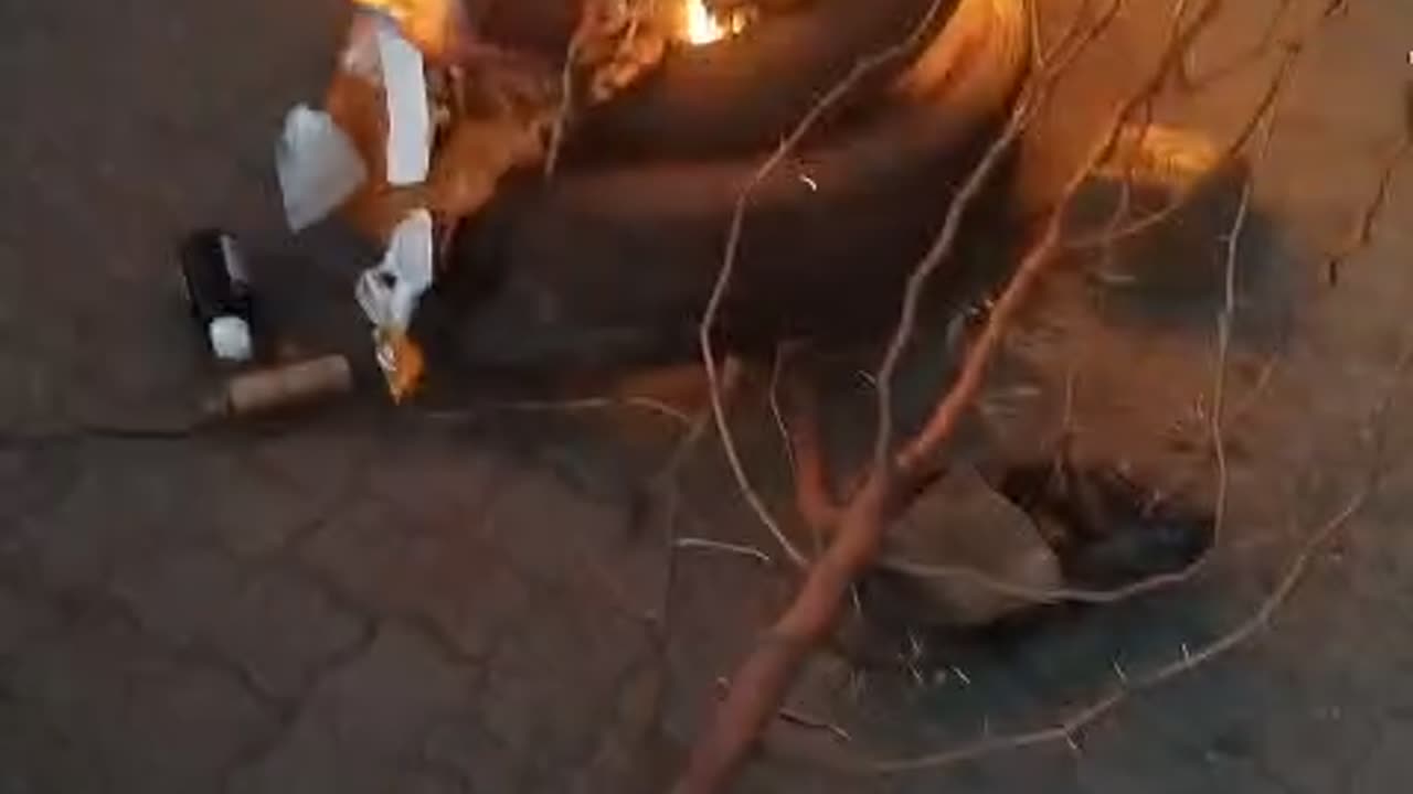 Protest