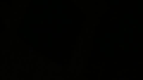 My Brother's And Sister's Stop Engaging With These Wicked Beings (EV)