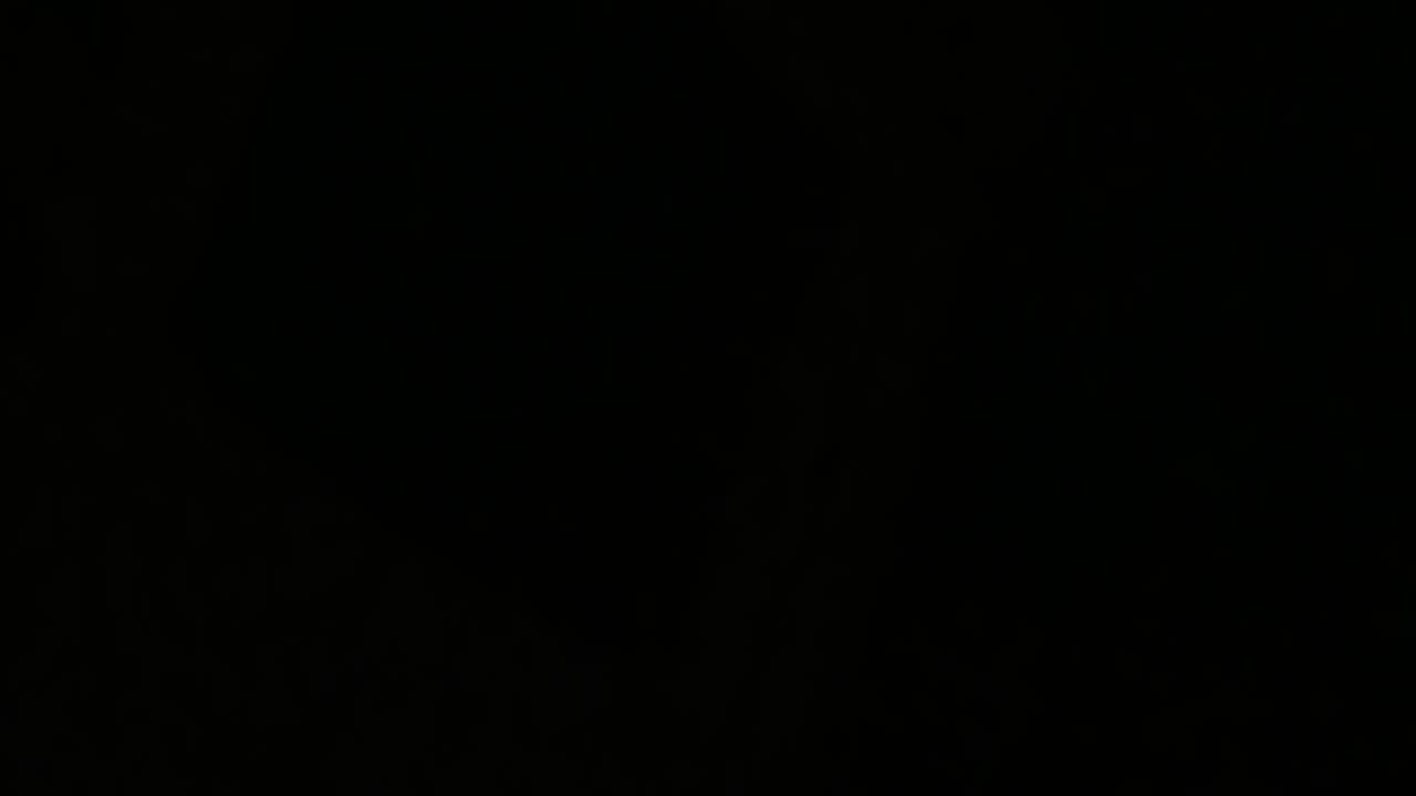 My Brother's And Sister's Stop Engaging With These Wicked Beings (EV)