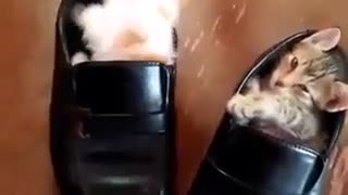 😔🔍 That's Me, Trying to Find My Place in Life | FunFM